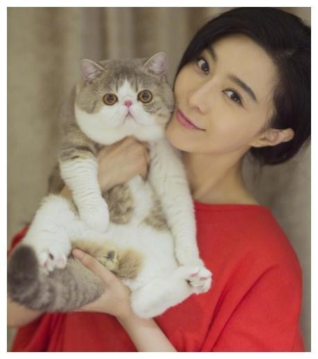 那么多明星大咖养猫，为什么只有易烊千玺的猫接到了广告代言？