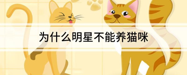 为什么明星不能养猫咪