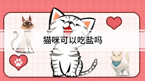 猫咪可以吃盐吗