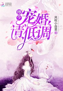 博少隐婚现象揭秘，娱乐圈的神秘婚姻现象最新观察