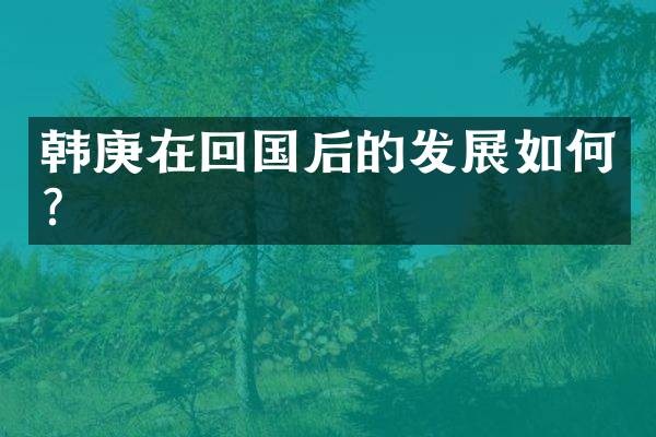 韩庚在回国后的发展如何？