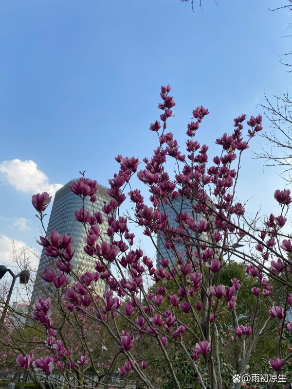 陈芷琰粉丝须知