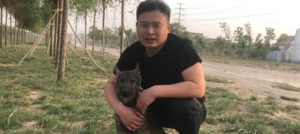 昆明犬的体重到底有多重？（探究昆明犬的体重标准和保健方法）