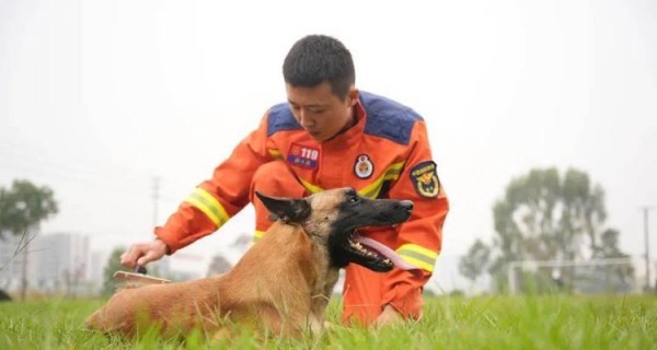 如何训练你的昆明犬？（建立亲密关系，打造优秀宠物）