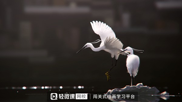 插画师是吃青春饭的吗？