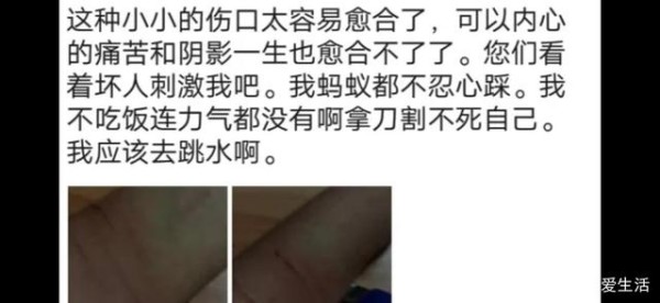 关于鲍毓明对其养女的性侵事件，女孩母亲的行为让人费解