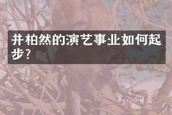 井柏然的演艺事业如何起步？