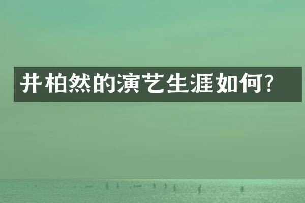 井柏然的演艺生涯如何？