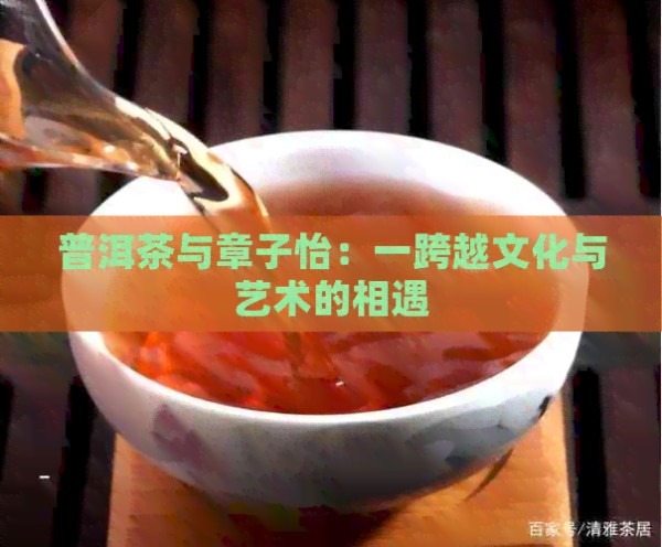 普洱茶与章子怡：一跨越文化与艺术的相遇