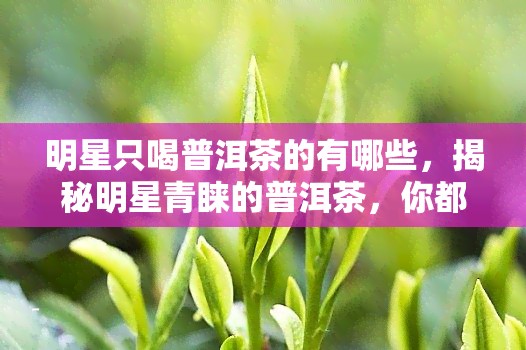 明星只喝普洱茶的有哪些，揭秘明星青睐的普洱茶，你都喝对了吗？