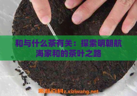 和与什么茶有关：探索明朝航海家和的茶叶之路