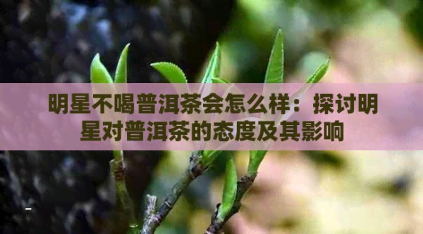 明星不喝普洱茶会怎么样：探讨明星对普洱茶的态度及其影响