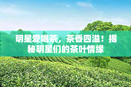 明星爱喝茶，茶香四溢！揭秘明星们的茶叶情缘