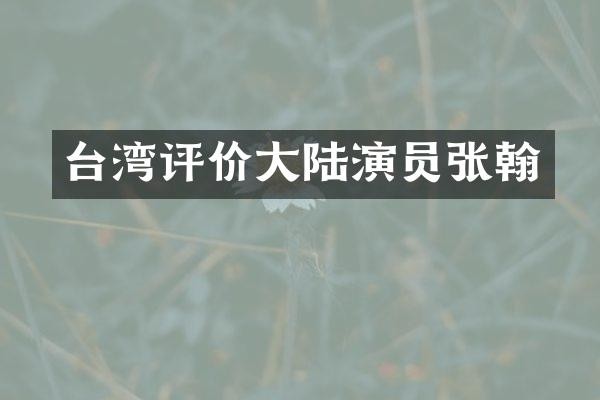 台湾评价大陆演员张翰