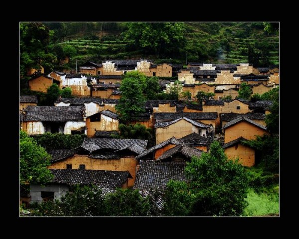 从村中“明星”到凝聚民心 松阳网红民宿带农民致富