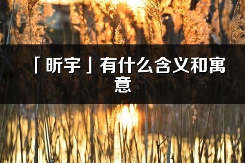 「昕宇」有什么含义和寓意