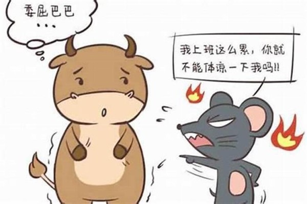 算命属猪与属鼠婚姻相配吗？——八字命理学解读