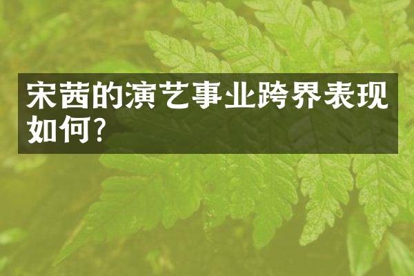 宋茜的演艺事业跨界表现如何？