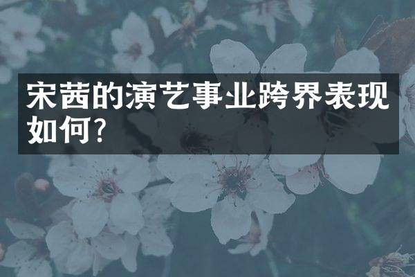 宋茜的演艺事业跨界表现如何？