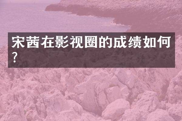 宋茜在影视圈的成绩如何？