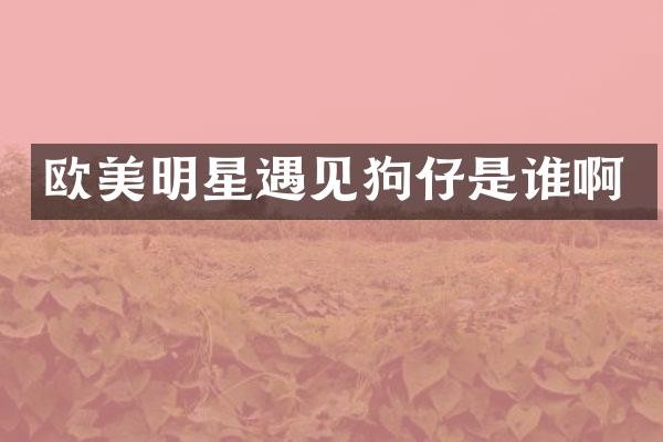 欧美明星遇见狗仔是谁啊