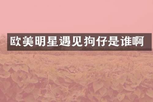 欧美明星遇见狗仔是谁啊