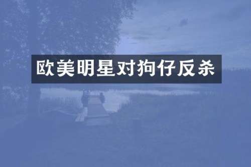 欧美明星对狗仔反杀