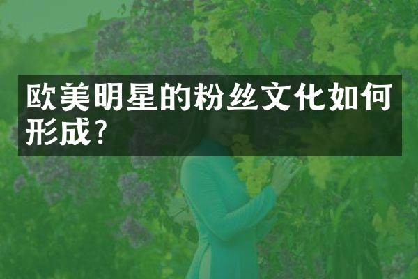 欧美明星的粉丝文化如何形成？