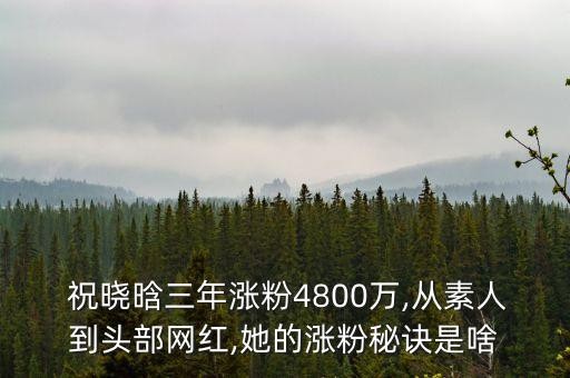  祝晓晗三年涨粉4800万,从素人到头部网红,她的涨粉秘诀是啥