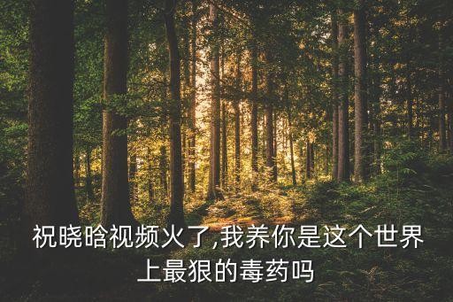  祝晓晗视频火了,我养你是这个世界上最狠的毒药吗