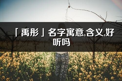 「禹彤」名字寓意,含义,好听吗_禹彤名字分析打分