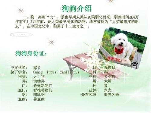 惠灵顿犬,名字的由来是什么