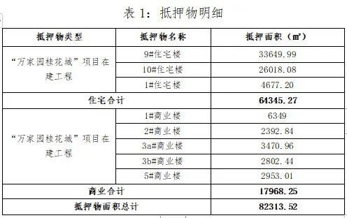 刚刚，南阳某家园房地产公司债权资产处置公告！