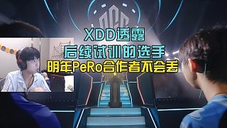 XDD透露后续试训的选手，明年PeRo大概率还是合作者！