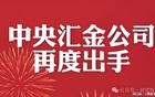 中央汇金重仓20亿元，钦点低空经济4大最强王者