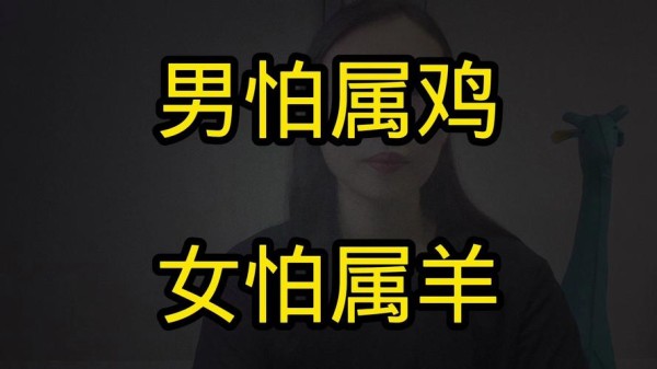 属鸡的女名人成功人士