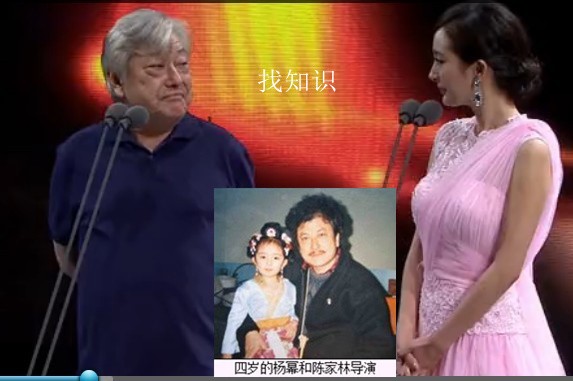 杨幂和陈家林有什么渊源