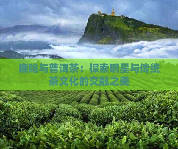 鹿晗与普洱茶：探索明星与传统茶文化的交融之美