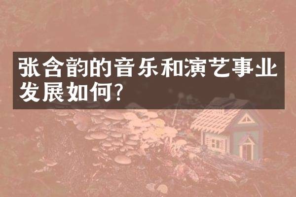 张含韵的音乐和演艺事业发展如何？