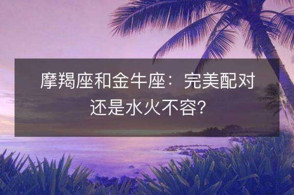 摩羯座和金牛座：完美配对还是水火不容？