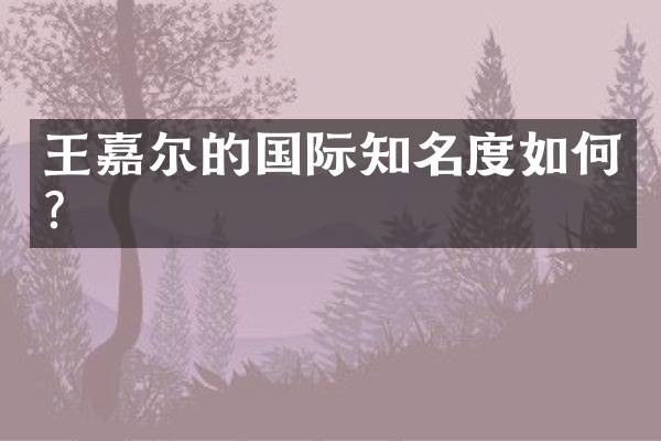 王嘉尔的国际知名度如何？