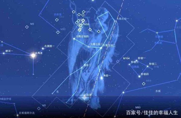 探索星辰的容貌特征与个人魅力：全面解析星辰的长相与风格