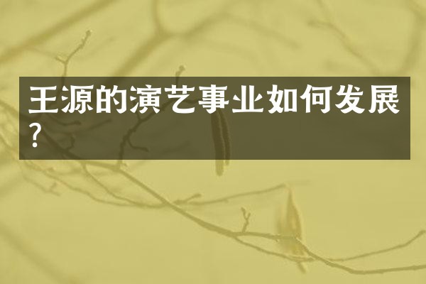 王源的演艺事业如何发展？