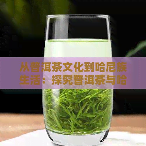 从普洱茶文化到哈尼族生活：探究普洱茶与哈尼族的深厚渊源