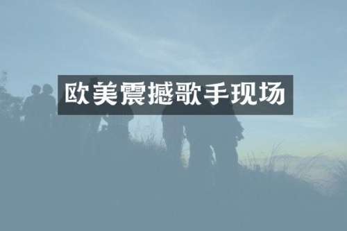 欧美震撼歌手现场