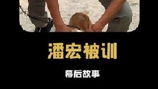 潘宏曾训狗，如今却被毒师训斥