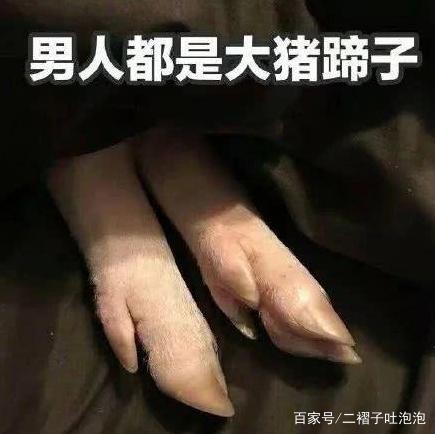 近来爆红的“男人都是大猪蹄子”到底是什么梗？网友：厉害了