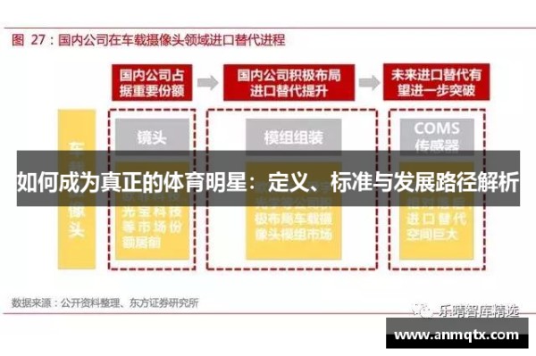 如何成为真正的体育明星：定义、标准与发展路径解析