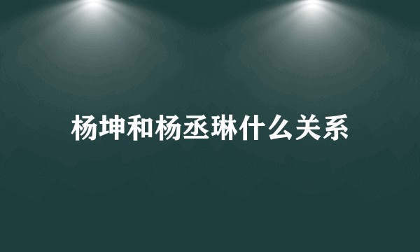 杨坤和杨丞琳什么关系