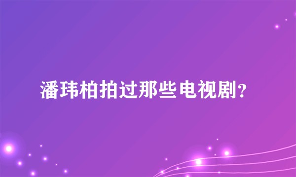 潘玮柏拍过那些电视剧？